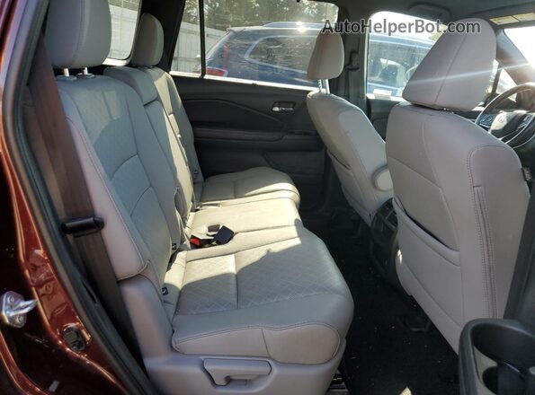 5FNYF8H55MB017593 2021 HONDA PASSPORT Maroon Սալոնի հետևի տեսք