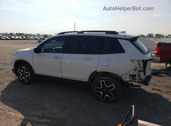 5FNYF8H94PB501827 2023 HONDA PASSPORT White Tył lewy