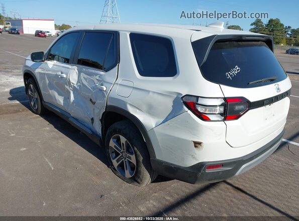 5FNYG2H41RB016658 2024 HONDA PILOT White Հետևի ձախ