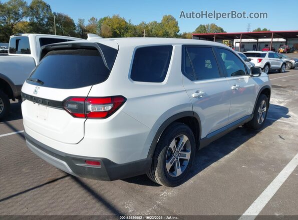 5FNYG2H41RB016658 2024 HONDA PILOT White Հետևի աջ