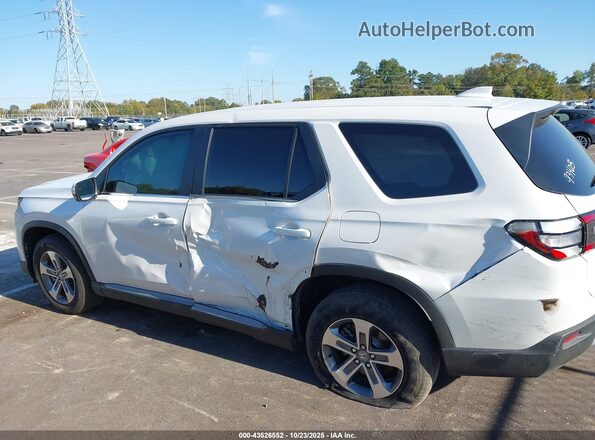 5FNYG2H41RB016658 2024 HONDA PILOT White Սալոնի 360 աստիճան տեսք