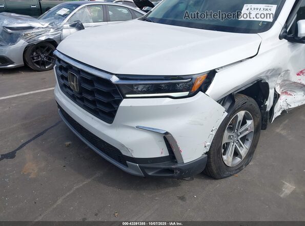 5FNYG2H47RB012582 2024 HONDA PILOT White 