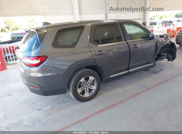 5FNYG2H52RB010781 2024 HONDA PILOT Gray Задня права чверть