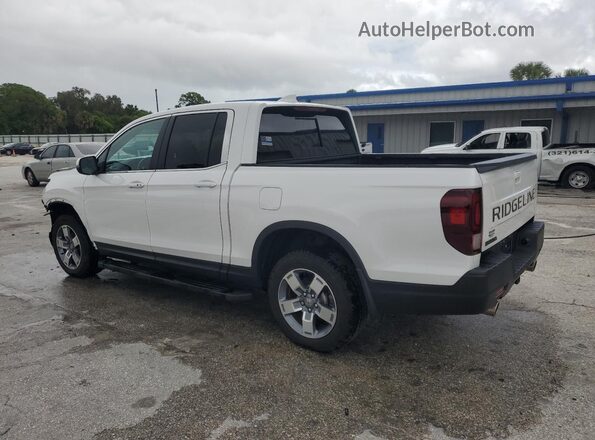 5FPYK3F52RB026977 2024 HONDA RIDGELINE White Tył lewy