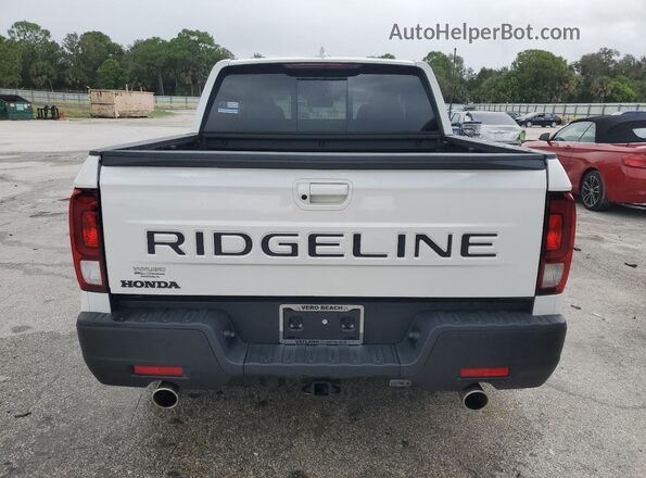 5FPYK3F52RB026977 2024 HONDA RIDGELINE White Widok z tyłu