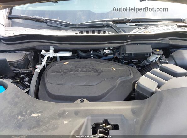 5FPYK3F55RB002740 2024 HONDA RIDGELINE Gray უკანა ხედი