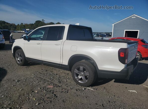 5FPYK3F68RB004023 2024 HONDA RIDGELINE White Tył lewy
