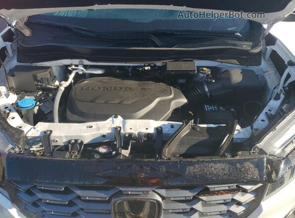 5FPYK3F68RB004023 2024 HONDA RIDGELINE White Widok wnętrza z tyłu