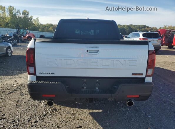 5FPYK3F68RB004023 2024 HONDA RIDGELINE White Widok z tyłu