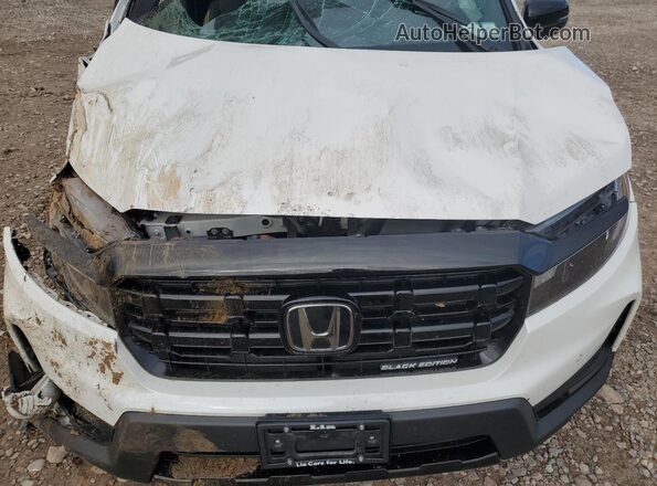 5FPYK3F84SB002485 2025 HONDA RIDGELINE White 
