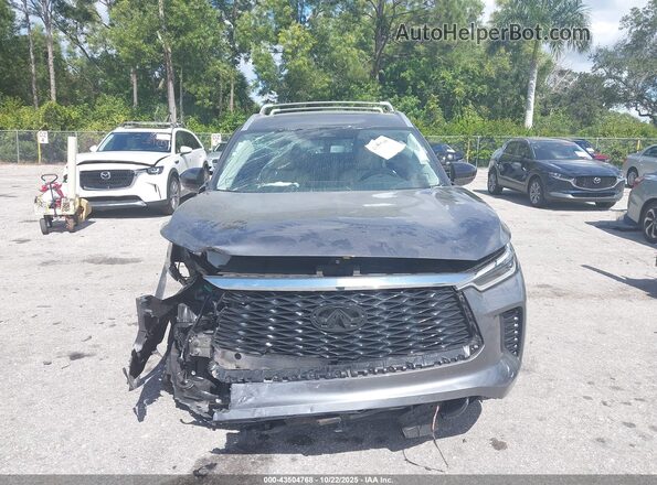 5N1AL1FSXSC331546 2025 INFINITI QX60 Gray Vista frontal
