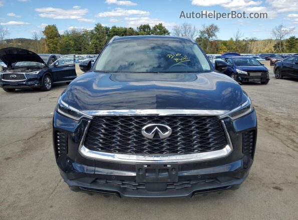 5N1DL1FS6PC331869 2023 INFINITI QX60 Black Front view