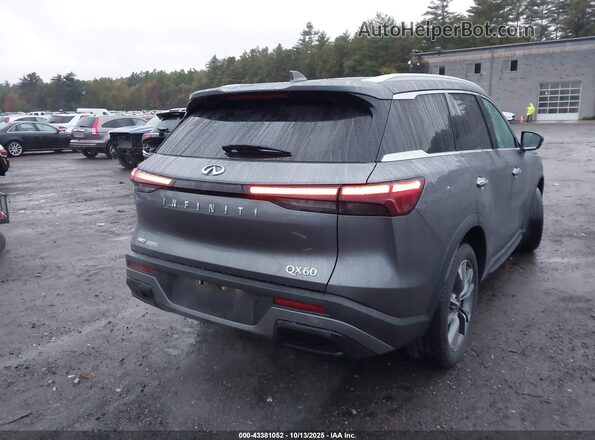 5N1DL1FS9PC333406 2023 INFINITI QX60 Gray 