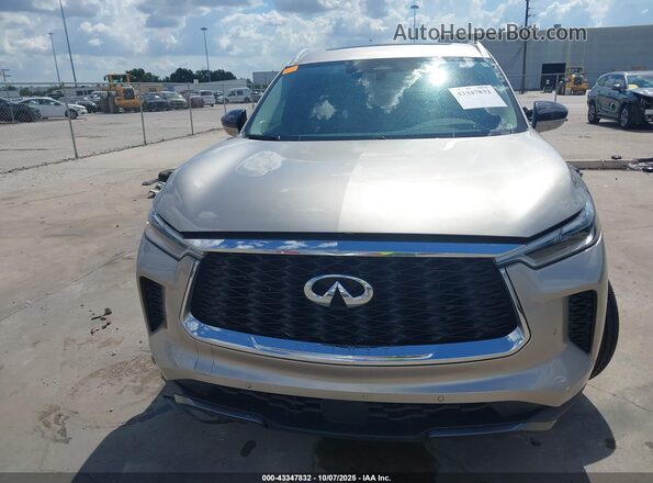 5N1DL1GRXPC346130 2023 INFINITI QX60 Gray Սալոնի հետևի տեսք