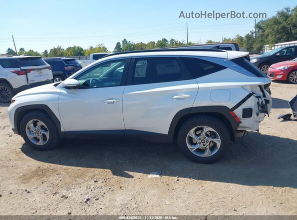 5NMJB3AE5NH137131 2022 HYUNDAI TUCSON Белый 