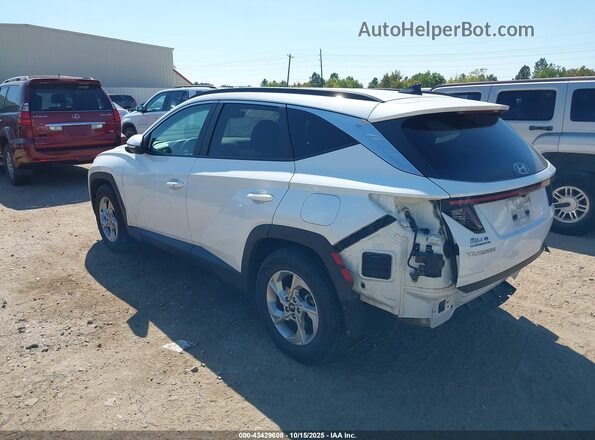 5NMJB3AE5NH137131 2022 HYUNDAI TUCSON Белый Задняя левая четверть