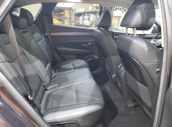 5NMJECAE1NH012358 2022 HYUNDAI TUCSON Gray Widok wnętrza z tyłu