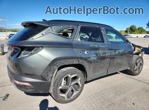 5NMJECAE5NH005977 2022 HYUNDAI TUCSON Gray Tył prawy
