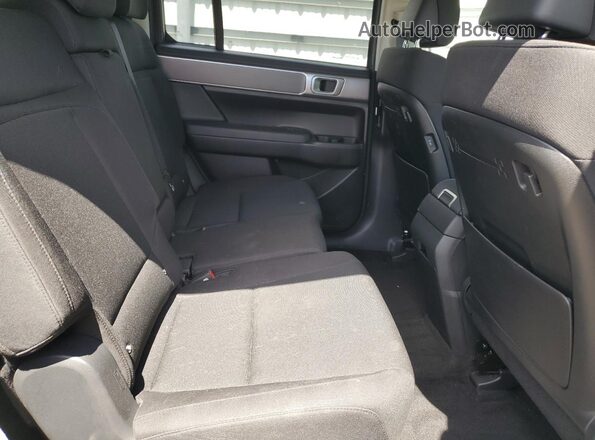 5NMP14GL0SH140409 2025 HYUNDAI SANTA Gray Սալոնի հետևի տեսք