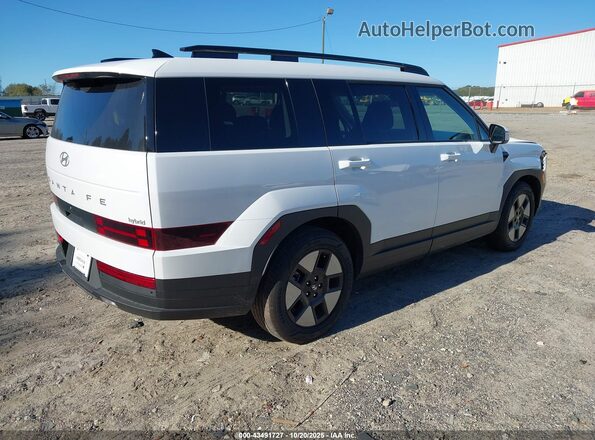5NMP24G13RH007410 2024 HYUNDAI SANTA FE HYBRID Белый Задняя правая четверть