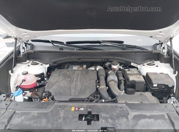 5NMP24GL1RH026149 2024 HYUNDAI SANTA FE White უკანა ხედი