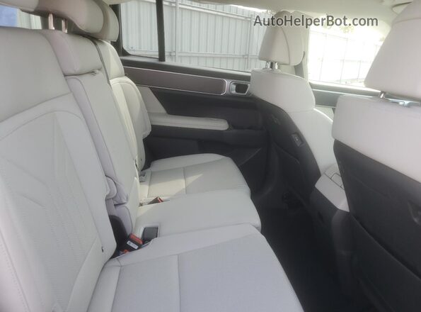 5NMP2DG13RH011375 2024 HYUNDAI SANTA White Widok wnętrza z tyłu