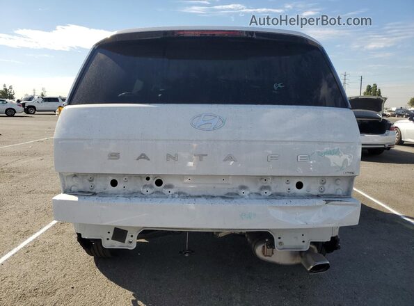 5NMP2DGL5SH111131 2025 HYUNDAI SANTA White Հետևի տեսք