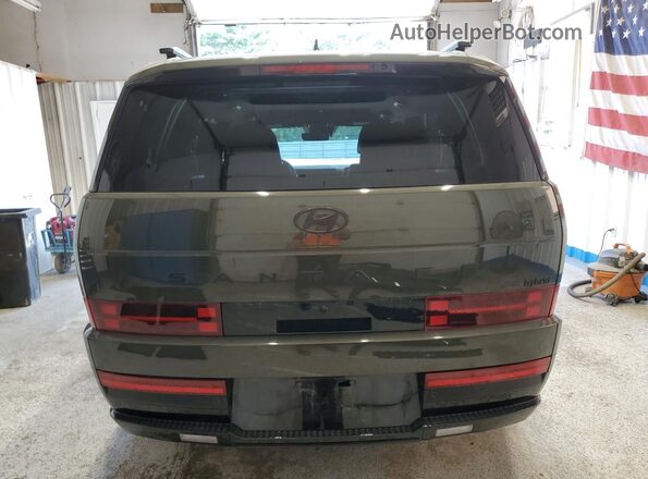 5NMP5DG14SH025704 2025 HYUNDAI SANTA FE CALLIGRAPHY Green Widok z tyłu