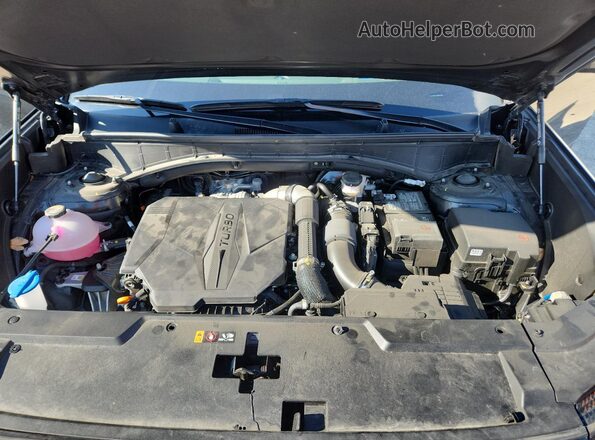 5NMP5DGL3RH066496 2024 HYUNDAI SANTA FE CALLIGRAPHY Black Vista del compartimento del motor