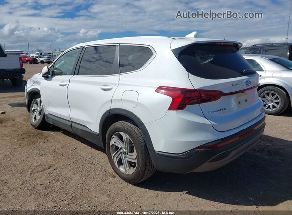 5NMS14AJ1MH320146 2021 HYUNDAI SANTA FE Белый Задняя левая четверть