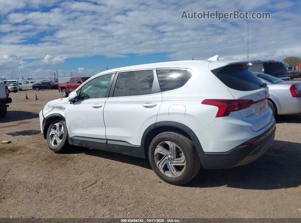 5NMS14AJ1MH320146 2021 HYUNDAI SANTA FE Белый Панорамный вид салона 360°