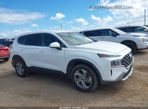 5NMS14AJ1MH320146 2021 HYUNDAI SANTA FE Белый Вид задней части салона