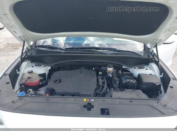 5NMS14AJ5MH356616 2021 HYUNDAI SANTA FE White უკანა ხედი