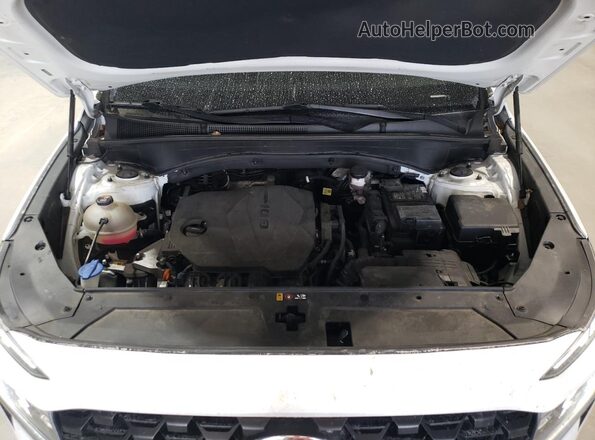 5NMS14AJ9MH307290 2021 HYUNDAI SANTA Белый 