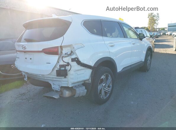 5NMS1DAJ8NH446408 2022 HYUNDAI SANTA FE White Rear right