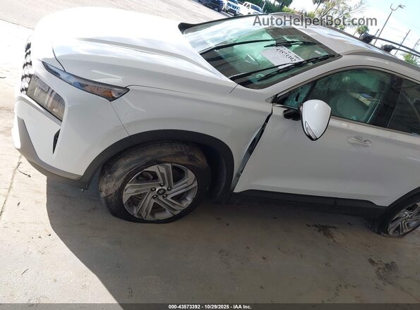 5NMS24AJ1PH552506 2023 HYUNDAI SANTA FE Белый Вид спереди