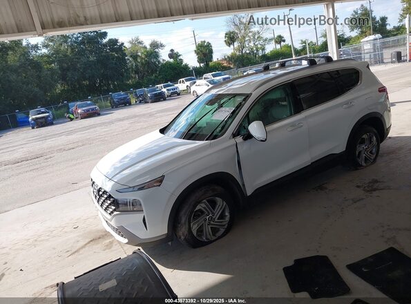 5NMS24AJ1PH552506 2023 HYUNDAI SANTA FE Белый Передняя левая четверть