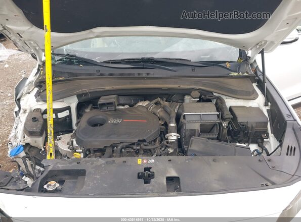 5NMS33AA8LH290811 2020 HYUNDAI SANTA FE Белый Вид сзади