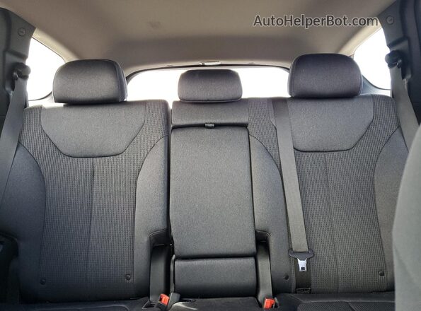 5NMS33AD0LH287816 2020 HYUNDAI SANTA Red Հետևի նստատեղերի տեսք