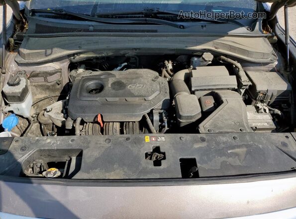 5NMS33AD6LH217334 2020 HYUNDAI SANTA Tan Շարժիչի բաժամունքի տեսք