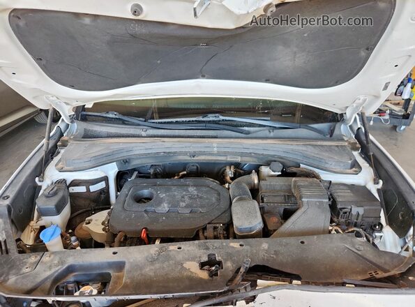 5NMS33AD9LH281805 2020 HYUNDAI SANTA White Rear interior view