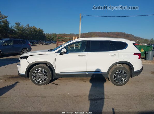 5NMS3DA13PH018601 2023 HYUNDAI SANTA FE HYBRID Белый Панорамный вид салона 360°