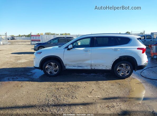 5NMS3DAJXPH537161 2023 HYUNDAI SANTA FE White 