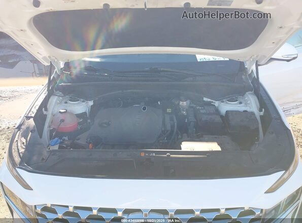 5NMS3DAJXPH537161 2023 HYUNDAI SANTA FE White Rear view