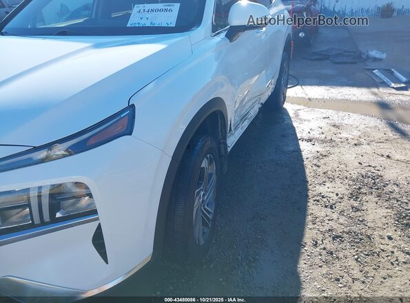 5NMS3DAJXPH537161 2023 HYUNDAI SANTA FE White 