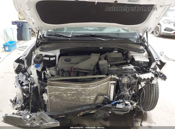 5NMS5CAD6LH214864 2020 HYUNDAI SANTA FE Белый Вид сзади
