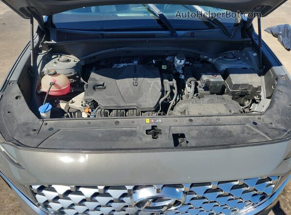 5NMS64AJ3MH327908 2021 HYUNDAI SANTA Gray Սալոնի հետևի տեսք