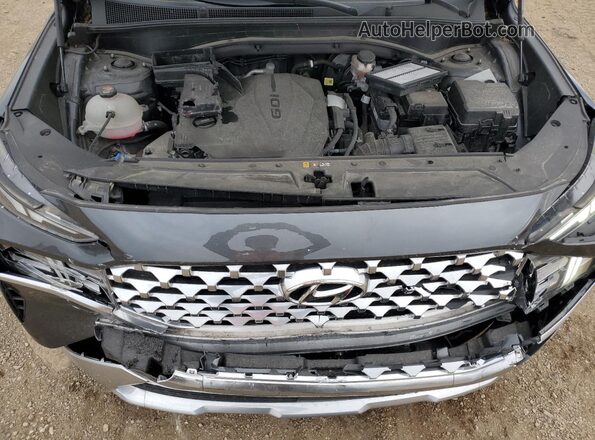 5NMS6DAJ0MH346898 2021 HYUNDAI SANTA Gray Rear interior view