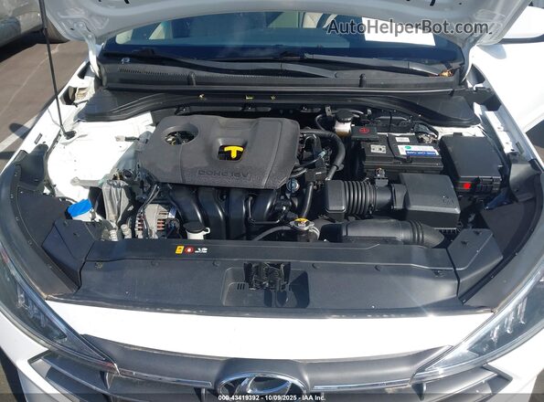 5NPD74LF1LH557138 2020 HYUNDAI ELANTRA White Вид ззаду