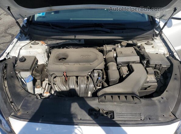 5NPE24AF6KH757033 2019 HYUNDAI SONATA White Սալոնի հետևի տեսք